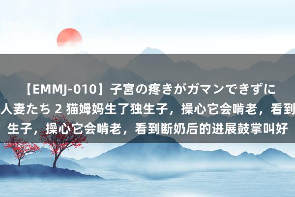 【EMMJ-010】子宮の疼きがガマンできずに他人棒でヨガリ狂う美人妻たち 2 猫姆妈生了独生子，操心它会啃老，看到断奶后的进展鼓掌叫好