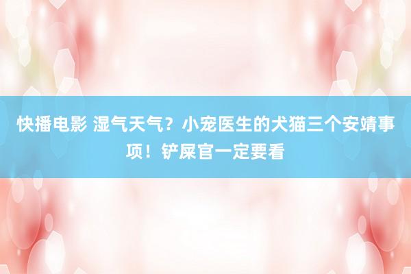 快播电影 湿气天气？小宠医生的犬猫三个安靖事项！铲屎官一定要看