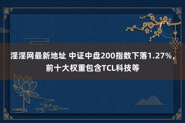 淫淫网最新地址 中证中盘200指数下落1.27%，前十大权重包含TCL科技等