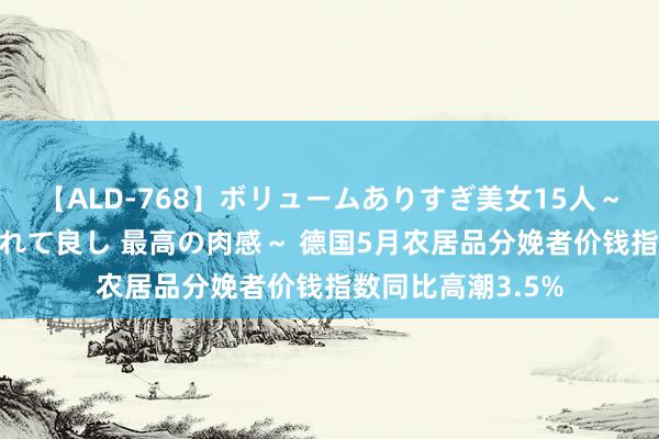 【ALD-768】ボリュームありすぎ美女15人～抱いて良し 抱かれて良し 最高の肉感～ 德国5月农居品分娩者价钱指数同比高潮3.5%