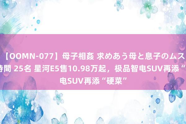 【OOMN-077】母子相姦 求めあう母と息子のムスコ 4時間 25名 星河E5售10.98万起，极品智电SUV再添“硬菜”