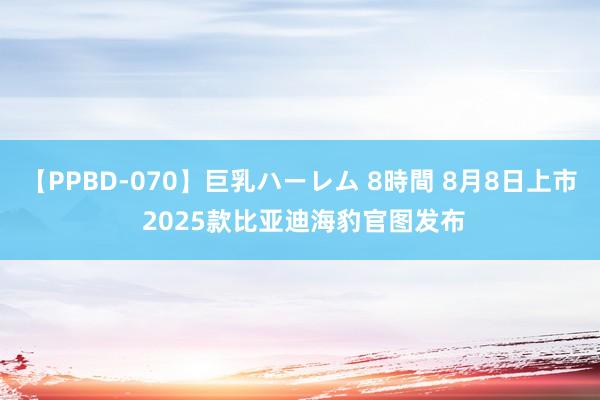 【PPBD-070】巨乳ハーレム 8時間 8月8日上市 2025款比亚迪海豹官图发布