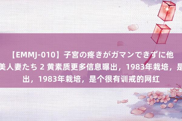 【EMMJ-010】子宮の疼きがガマンできずに他人棒でヨガリ狂う美人妻たち 2 黄素质更多信息曝出，1983年栽培，是个很有训戒的网红