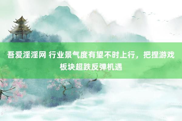 吾爱淫淫网 行业景气度有望不时上行，把捏游戏板块超跌反弹机遇