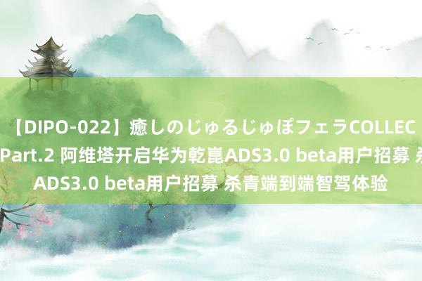 【DIPO-022】癒しのじゅるじゅぽフェラCOLLECTION50連発4時間 Part.2 阿维塔开启华为乾崑ADS3.0 beta用户招募 杀青端到端智驾体验