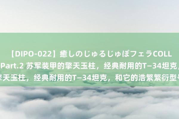 【DIPO-022】癒しのじゅるじゅぽフェラCOLLECTION50連発4時間 Part.2 苏军装甲的擎天玉柱，经典耐用的T—34坦克，和它的浩繁繁衍型号