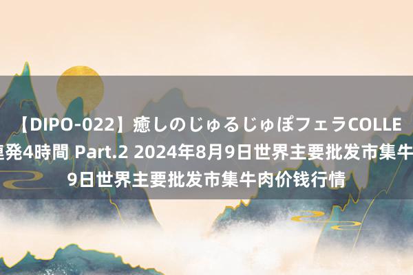 【DIPO-022】癒しのじゅるじゅぽフェラCOLLECTION50連発4時間 Part.2 2024年8月9日世界主要批发市集牛肉价钱行情