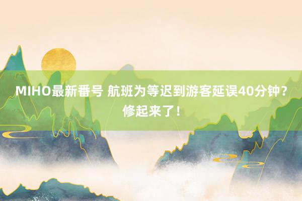 MIHO最新番号 航班为等迟到游客延误40分钟？修起来了！