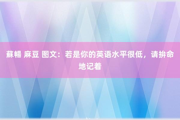 蘇暢 麻豆 图文：若是你的英语水平很低，请拚命地记着