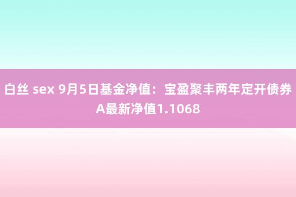 白丝 sex 9月5日基金净值：宝盈聚丰两年定开债券A最新净值1.1068