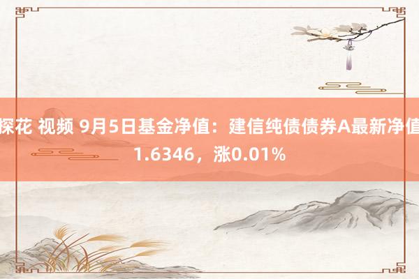 探花 视频 9月5日基金净值：建信纯债债券A最新净值1.6346，涨0.01%