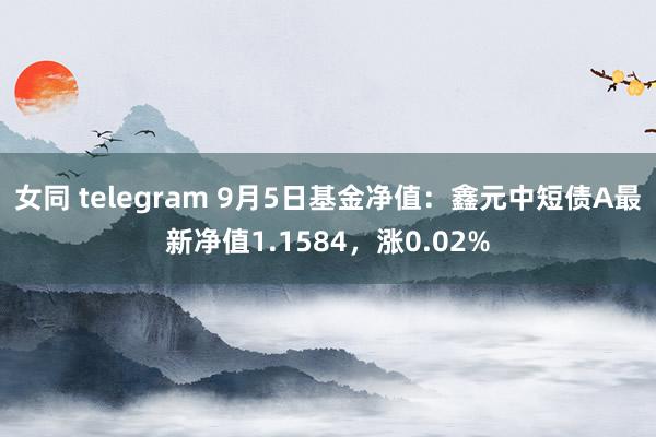 女同 telegram 9月5日基金净值：鑫元中短债A最新净值1.1584，涨0.02%