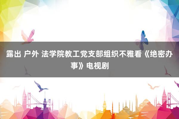 露出 户外 法学院教工党支部组织不雅看《绝密办事》电视剧