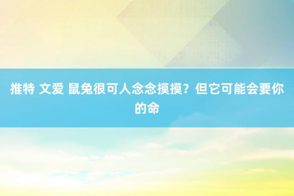 推特 文爱 鼠兔很可人念念摸摸？但它可能会要你的命